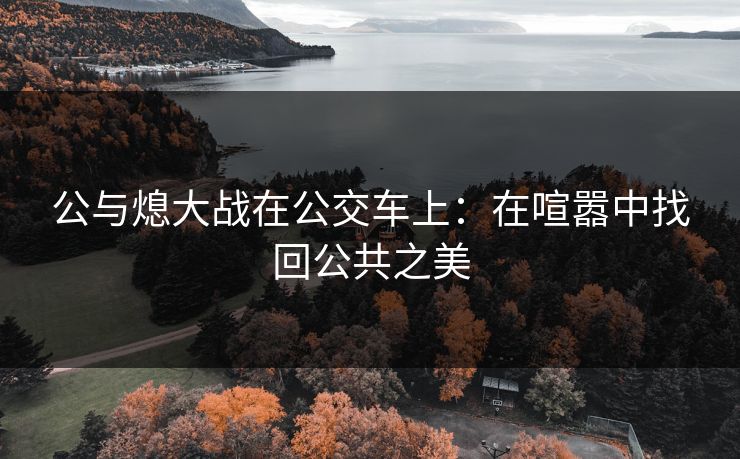 公与熄大战在公交车上：在喧嚣中找回公共之美