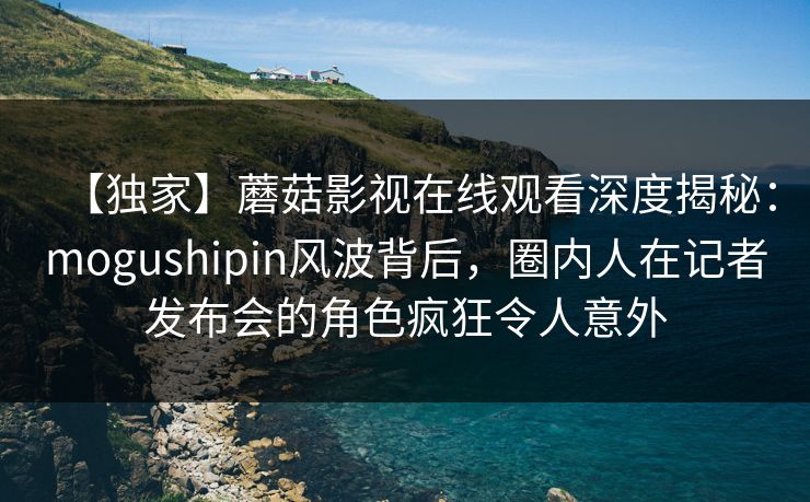 【独家】蘑菇影视在线观看深度揭秘：mogushipin风波背后，圈内人在记者发布会的角色疯狂令人意外