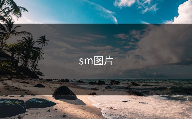 sm图片 sm图片