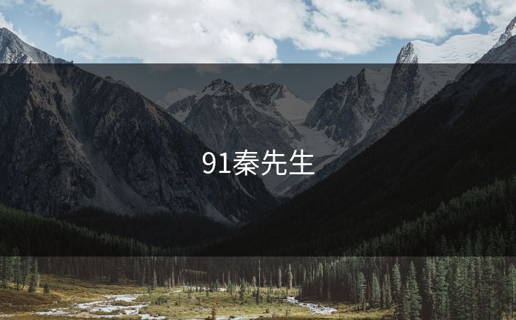 91秦先生